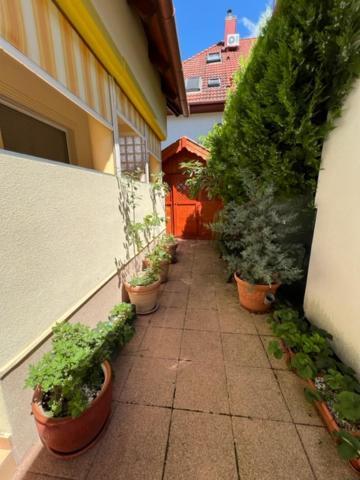 Sofi Appartment Heviz Exterior photo